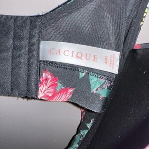 Lane Bryant Black Floral Bra